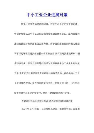 中小工业企业发展对策