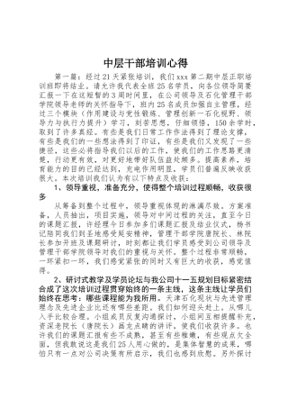 中层干部培训心得