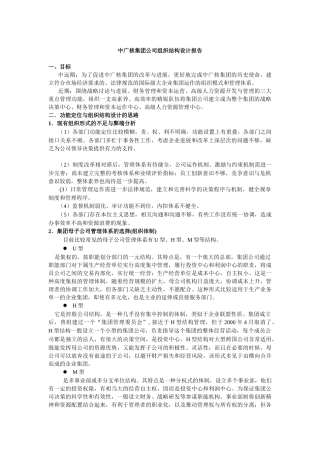 中广核集团公司组织结构设计报告