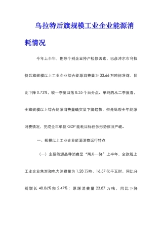 乌拉特后旗规模工业企业能源消耗情况