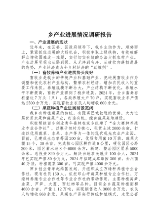 乡产业发展情况调研报告