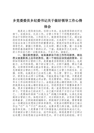 乡党委委员乡纪委书记关于做好领导工作心得体会
