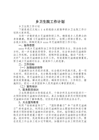 乡卫生院工作计划
