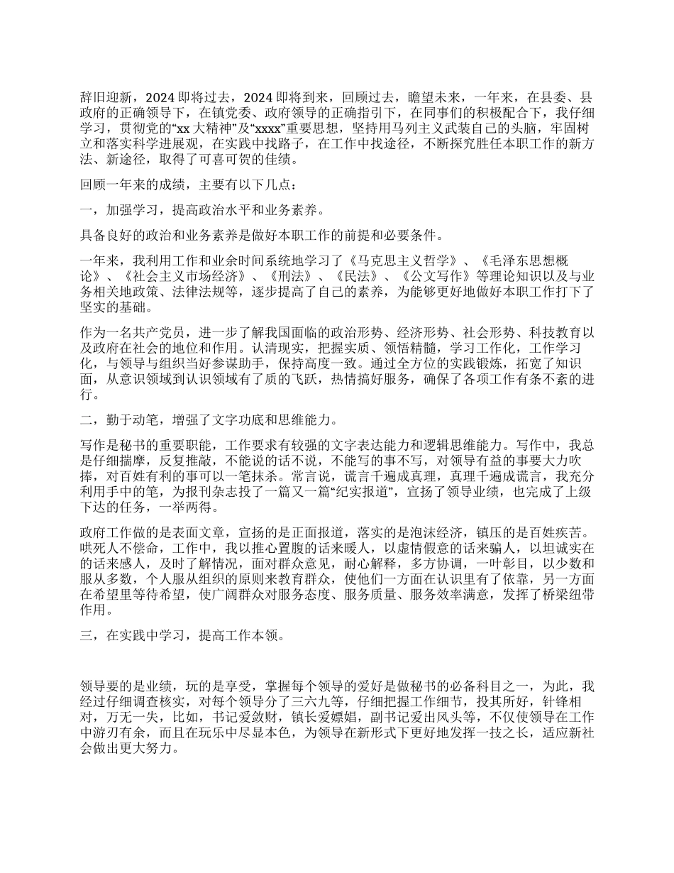 乡政府办公室秘书个人工作总结_第1页