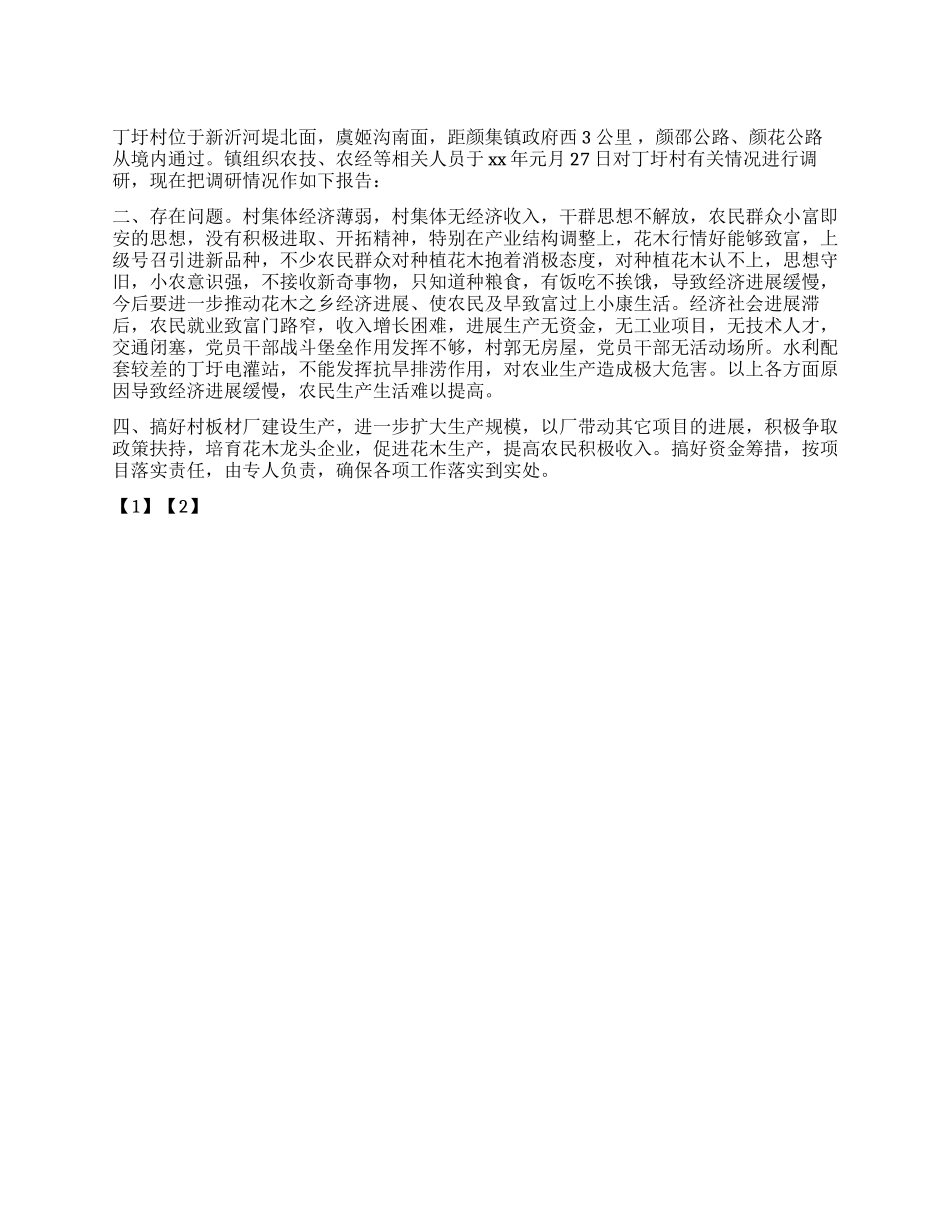 乡村情况调研报告_第1页