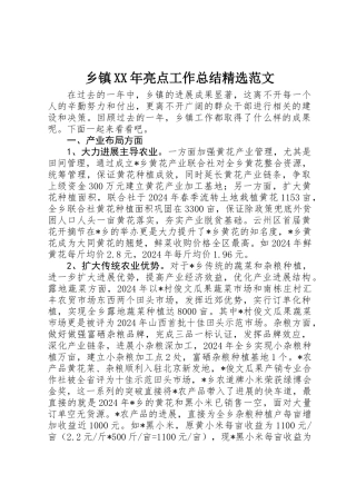 乡镇XX年亮点工作总结精选范文