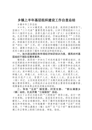 乡镇上半年基层组织建设工作自查总结 