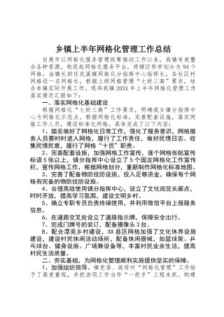 乡镇上半年网格化管理工作总结