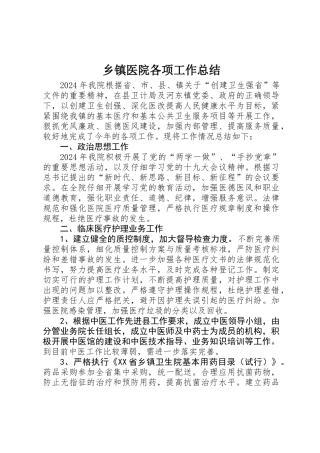 乡镇医院各项工作总结