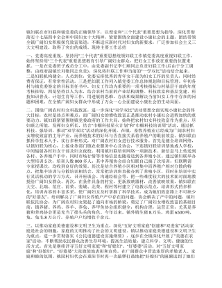 乡镇妇联年度工作总结范文