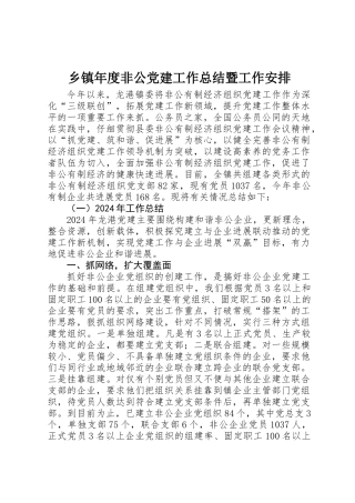 乡镇年度非公党建工作总结暨工作安排