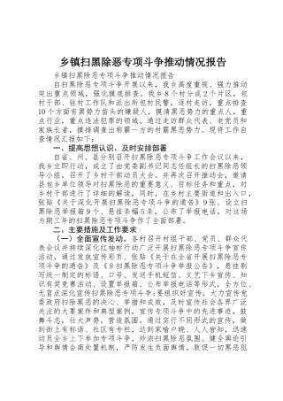 乡镇扫黑除恶专项斗争推进情况报告 