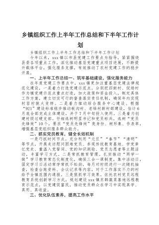 乡镇组织工作上半年工作总结和下半年工作计划