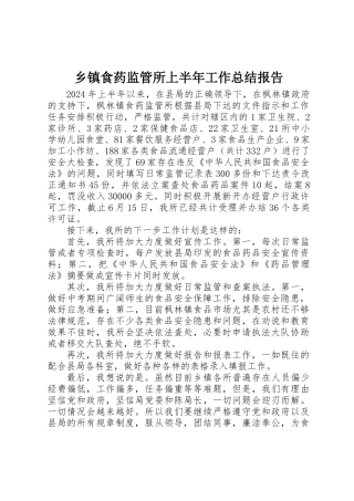 乡镇食药监管所上半年工作总结报告