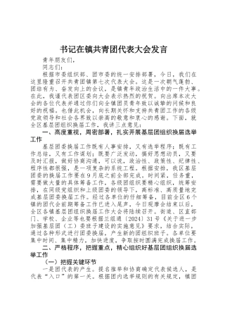 书记在镇共青团代表大会发言
