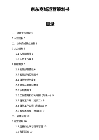 京东商城运营项目策划书