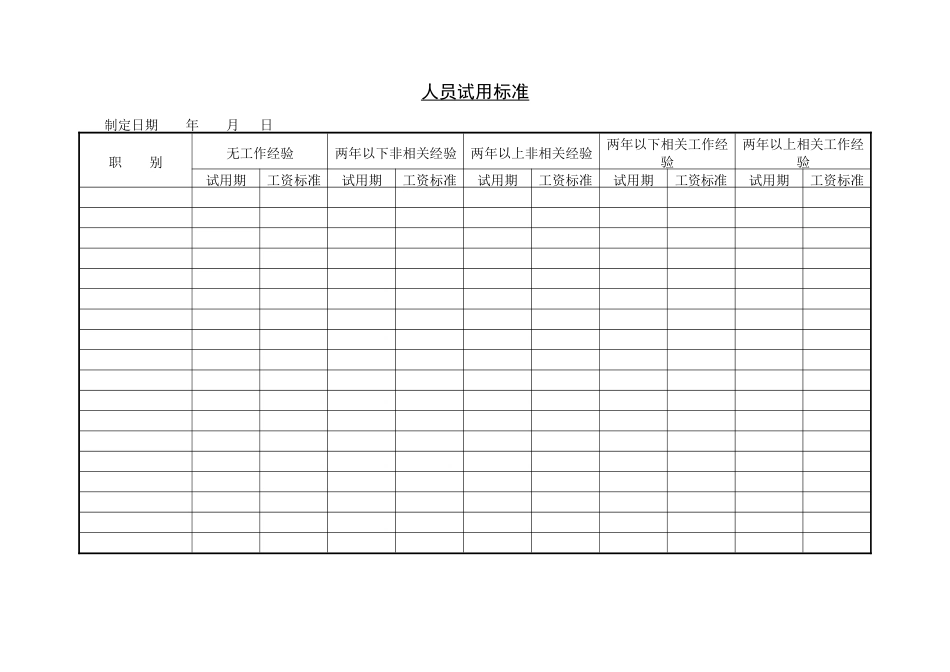 人力资源-2024201人员试用标准_第1页