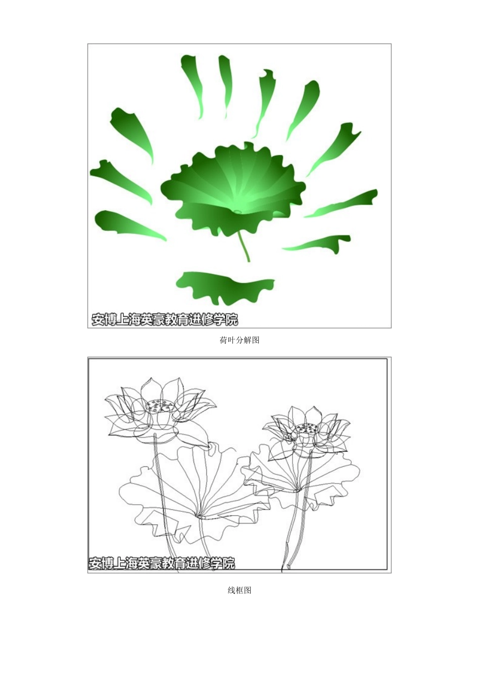 人力资源-2024Illustrator绘制漂亮的矢量荷花图、上海平面培训_第3页