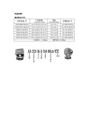 人力资源-2024SOR压力开关选型表