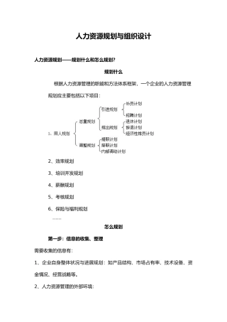 人力资源规划与组织设计说明