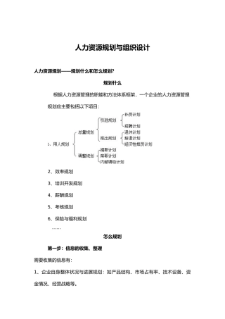 人力资源规划和组织设计说明