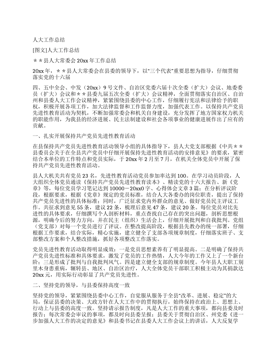 人大工作总结_第1页