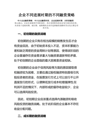 企业不同发展时期的不同融资策略课件