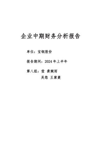 企业中期财务分析报告模版