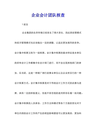 企业会计团队核查