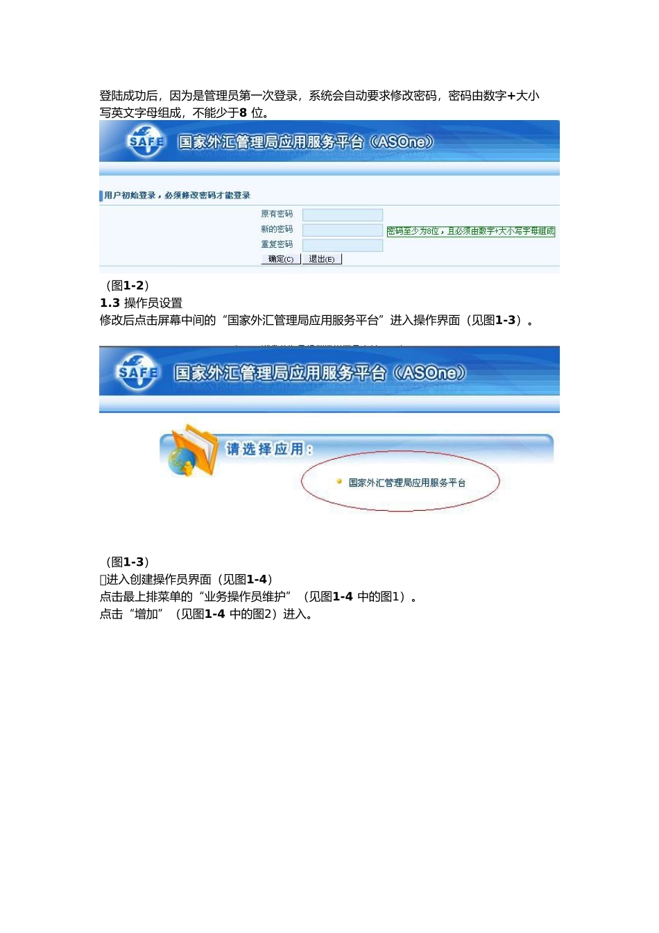 企业网上国际收支申报操作流程_第2页