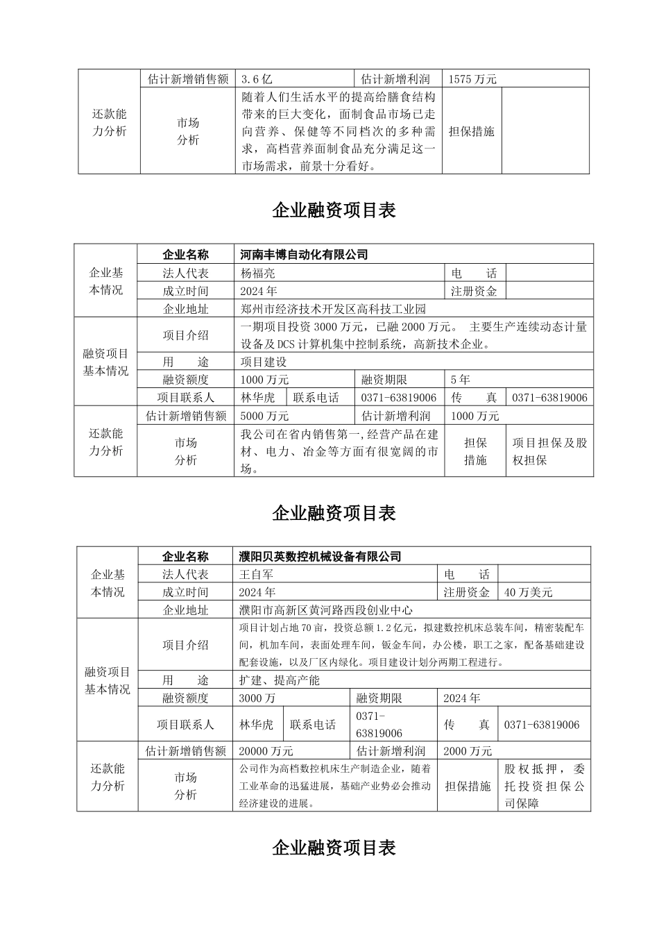 企业融资项目表_第2页