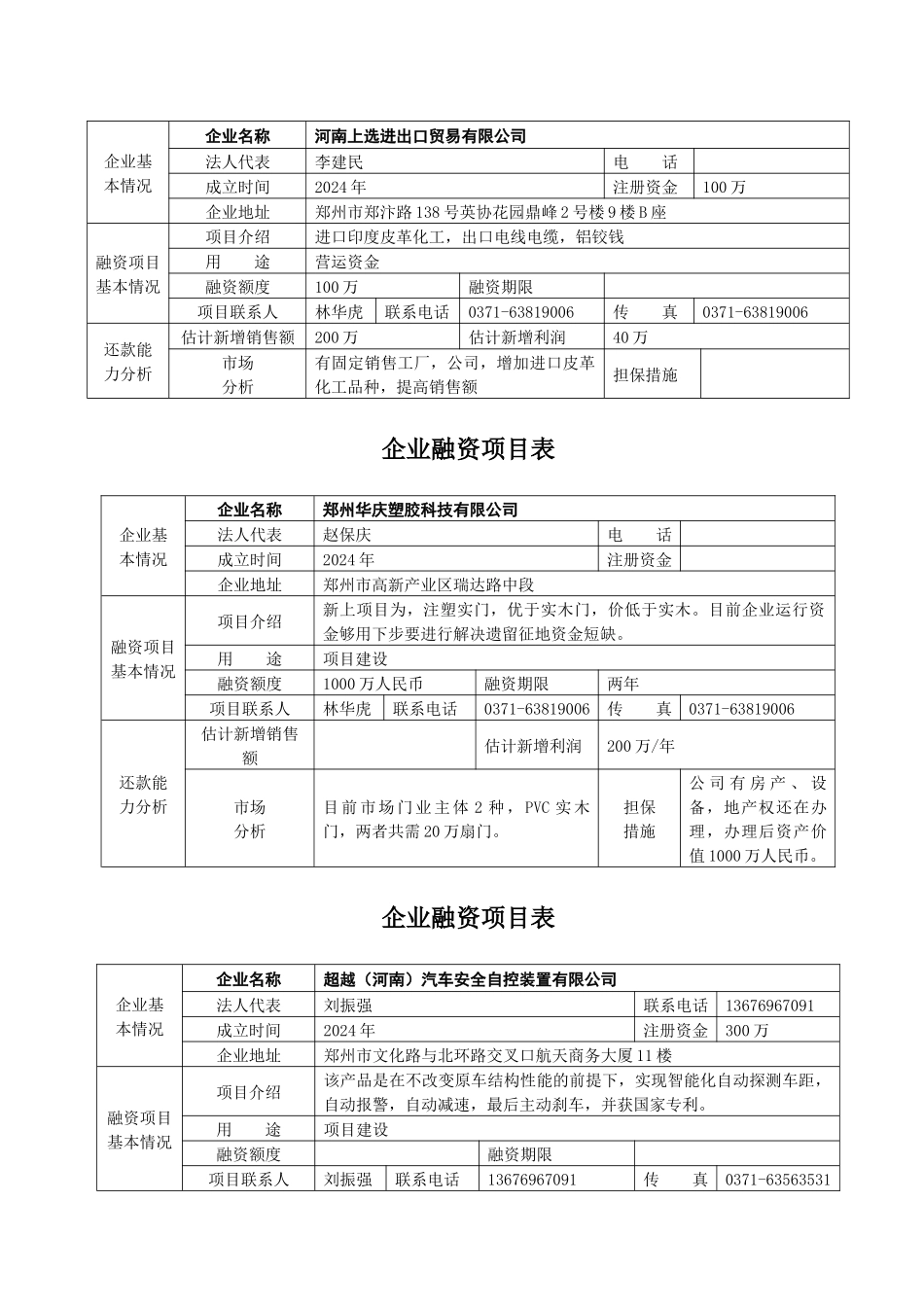企业融资项目表_第3页
