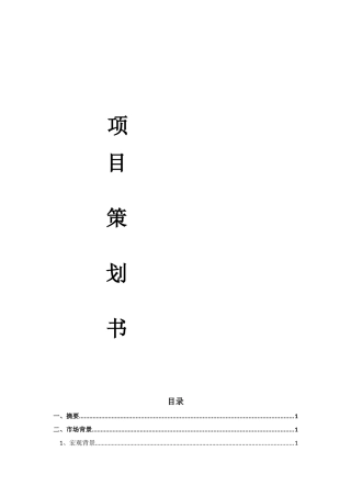 企业项目策划书