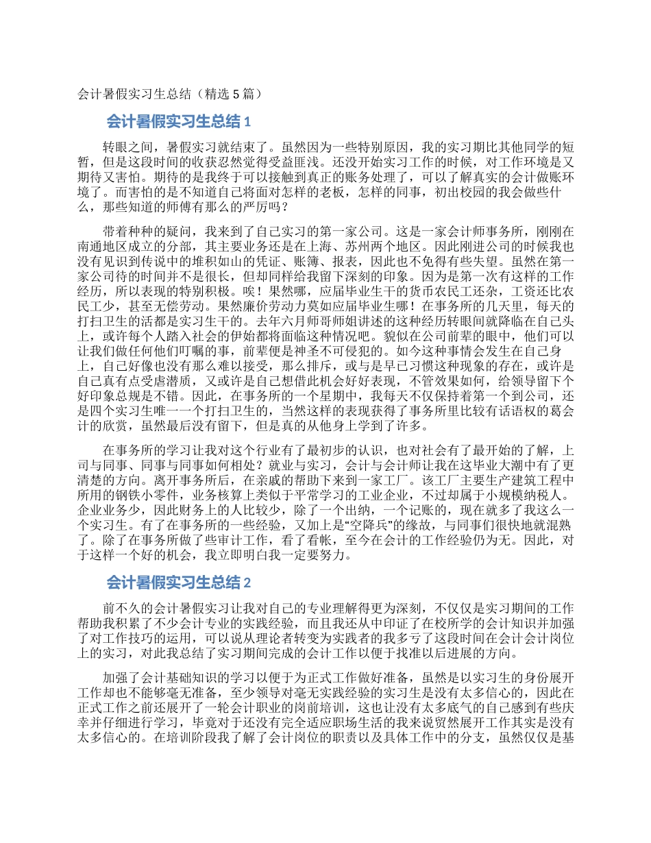 会计暑假实习生总结_第1页