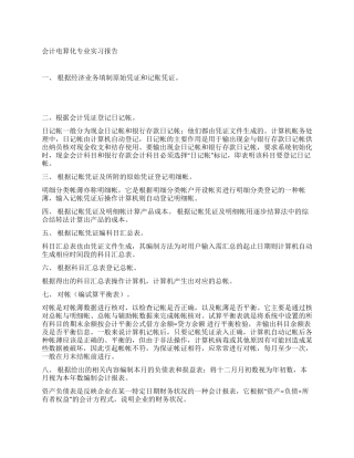 会计电算化专业实习报告