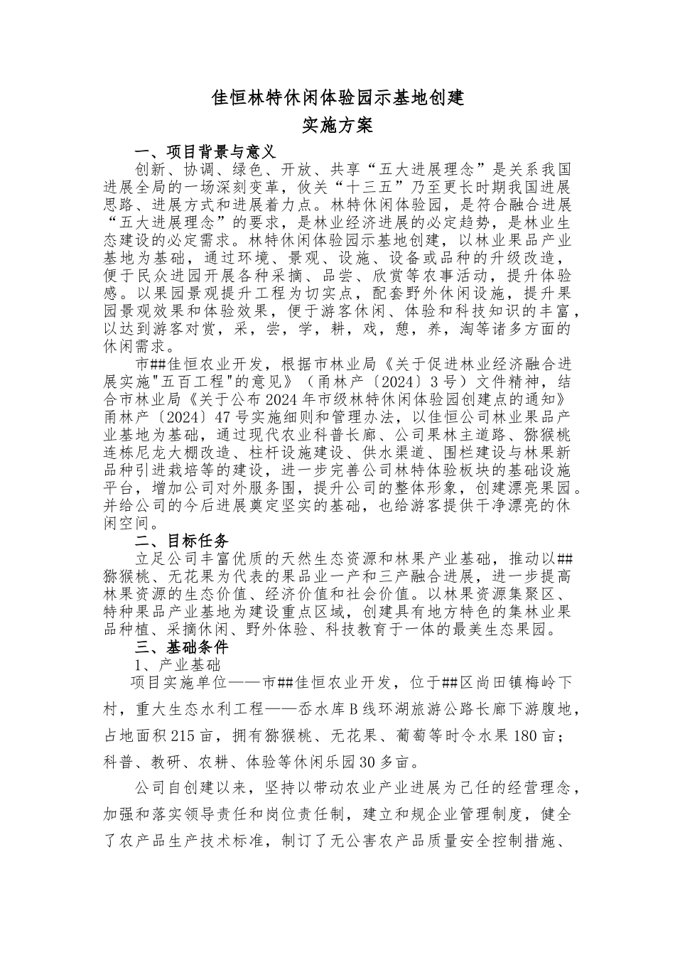 佳恒林特项目实施计划方案_第1页