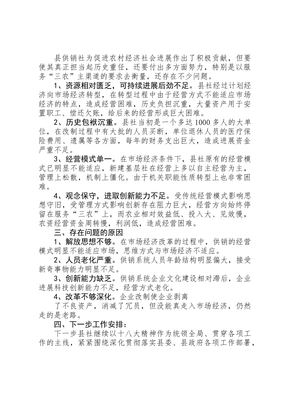 供销社总结和计划_第3页