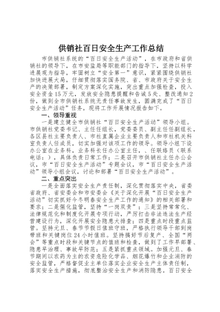 供销社百日安全生产工作总结