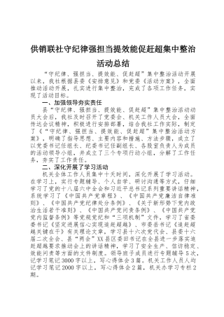 供销联社守纪律强担当提效能促赶超集中整治活动总结