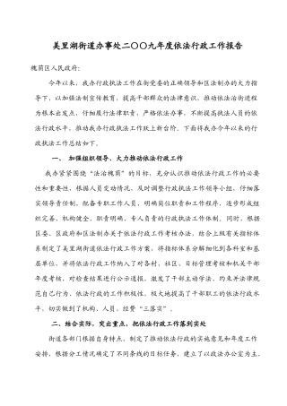 依法行政工作报告