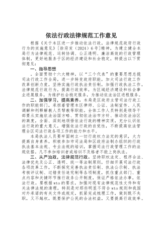 依法行政规范工作意见