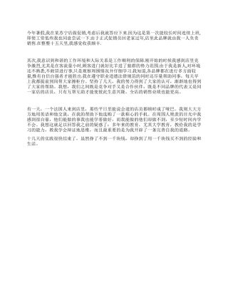 促销员实践报告