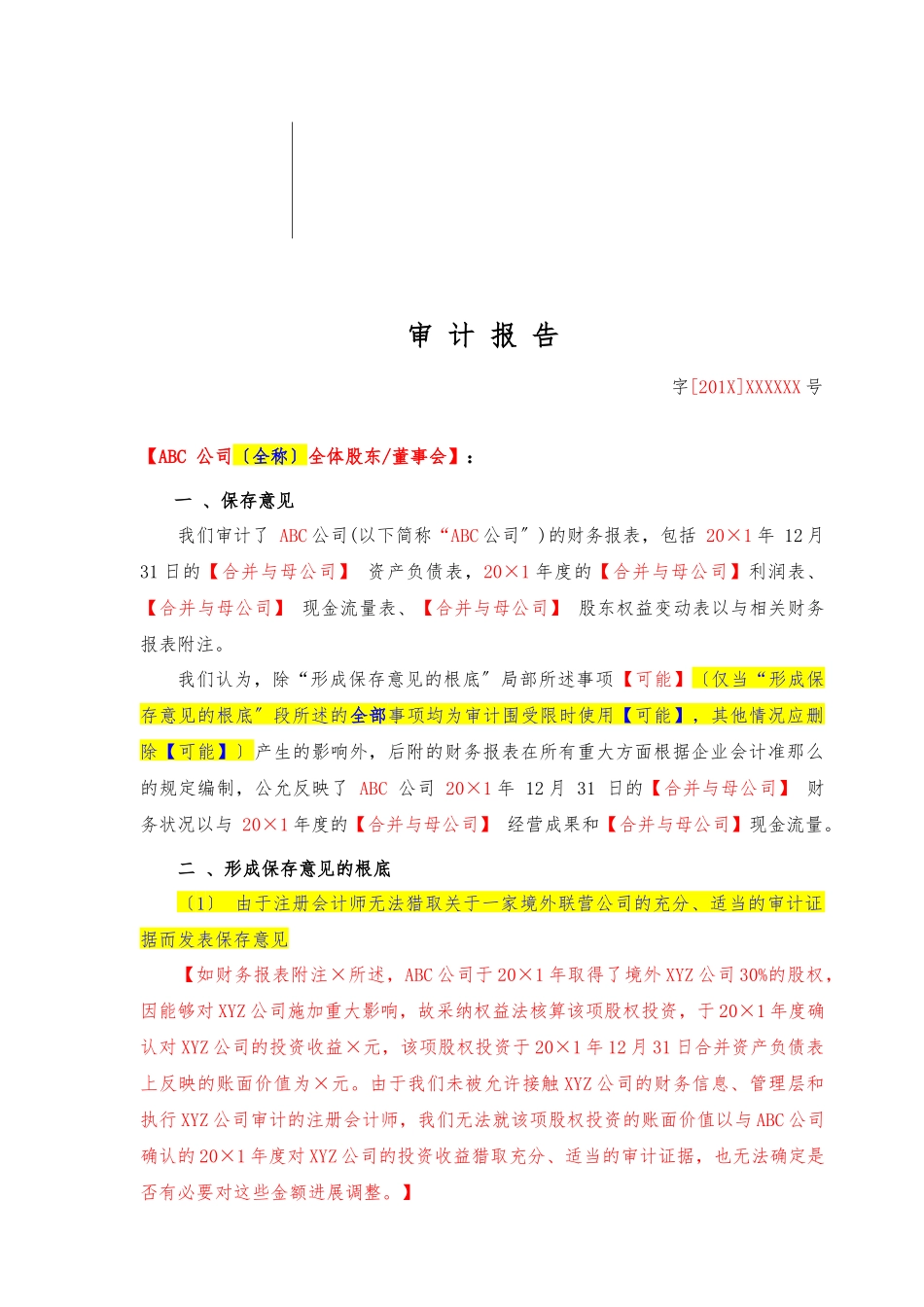 保留意见审计报告_第1页