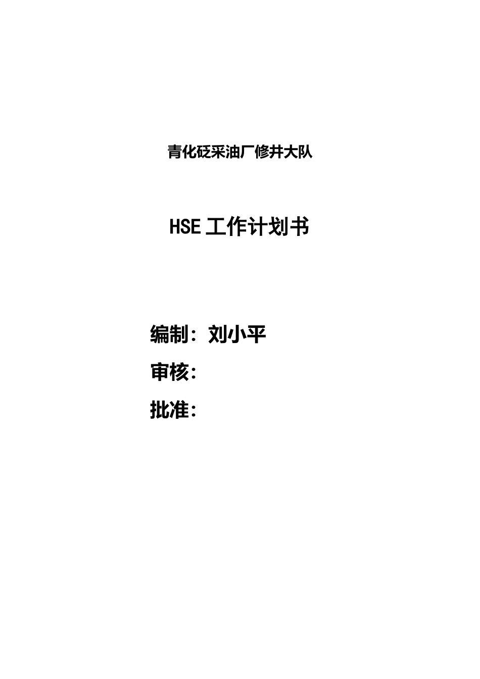 修井大队HSE工作计划书_第1页
