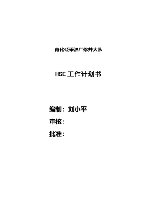 修井大队HSE工作计划书