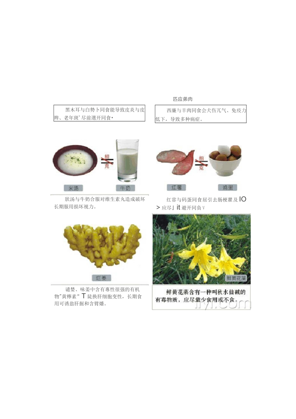食物相生相克图表_第3页