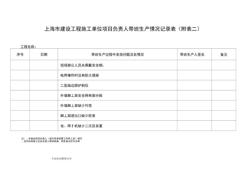 项目经理带班生产情况记录文本表(样板)_第2页