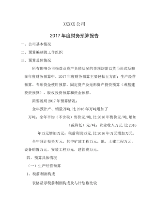 财务预算报告