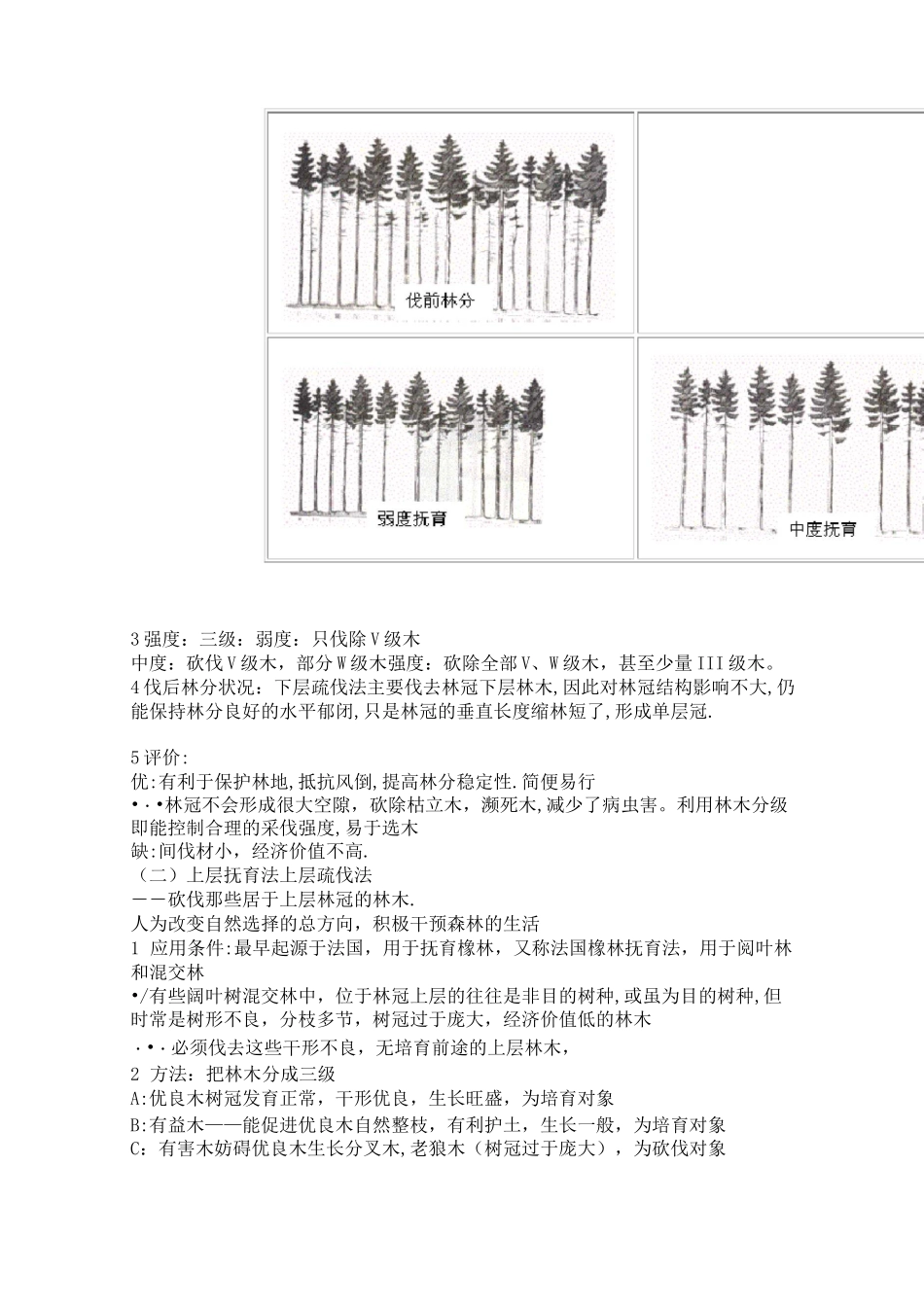 第十章 抚育采伐的种类和技术要素_第3页