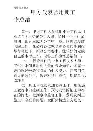 甲方代表试用期工作总结